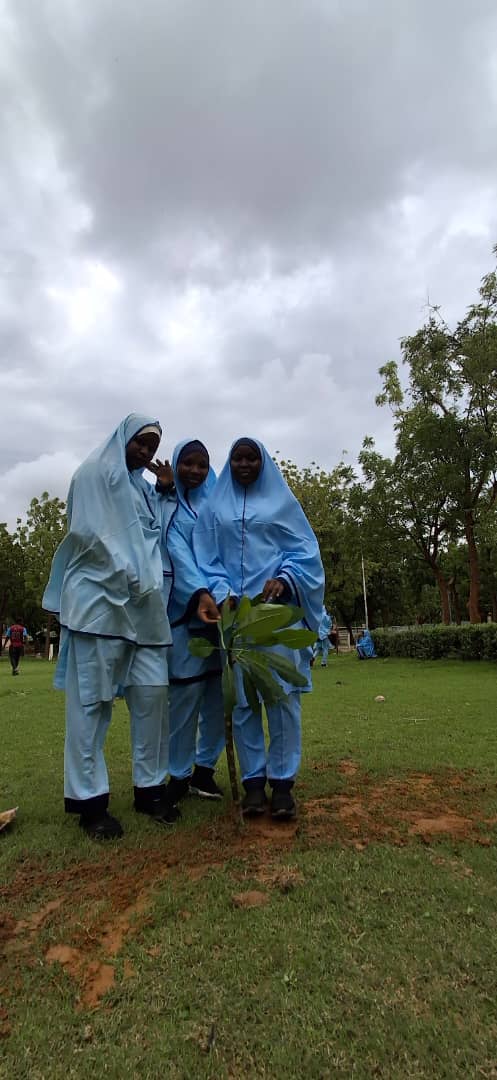 Field activity